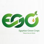 Egyptian Green Crops