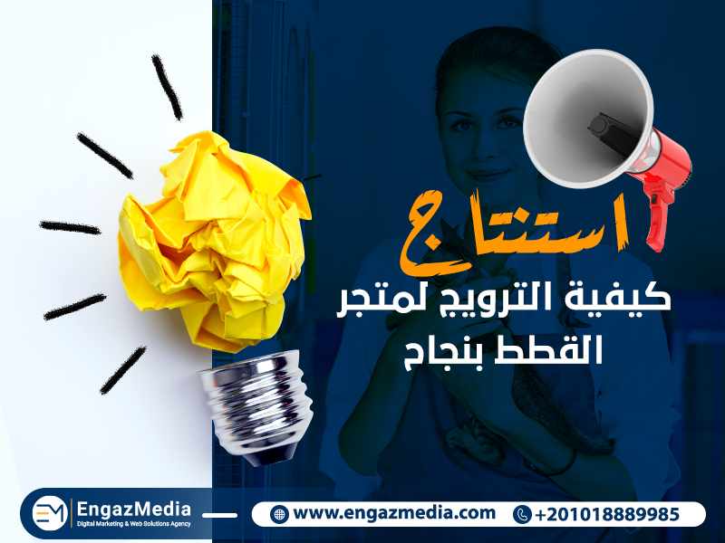 استنتاج: كيفية الترويج لمتجر القطط بنجاح