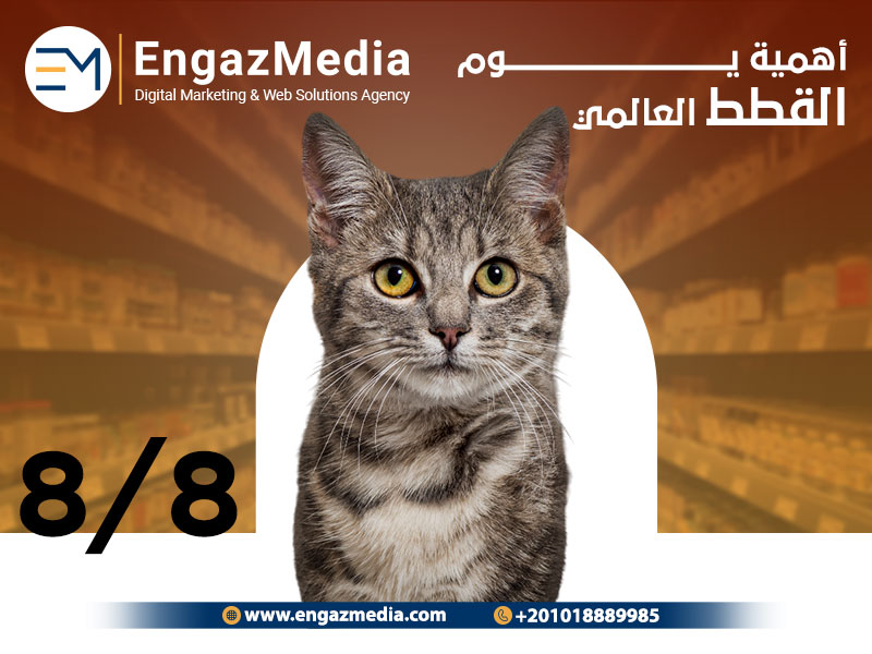 أهمية يوم القطط العالمي