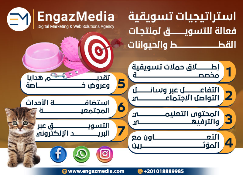 استراتيجيات تسويقية فعالة للتسويق لمنتجات القطط والحيوانات