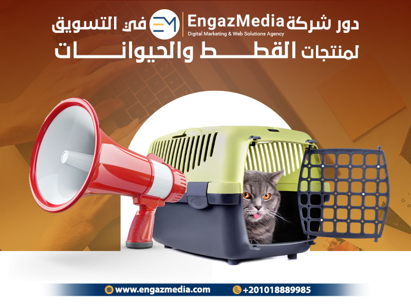 دور شركة إنجاز ميديا في التسويق لمنتجات القطط والحيوانات