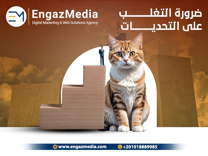 ضرورة التغلب على التحديات