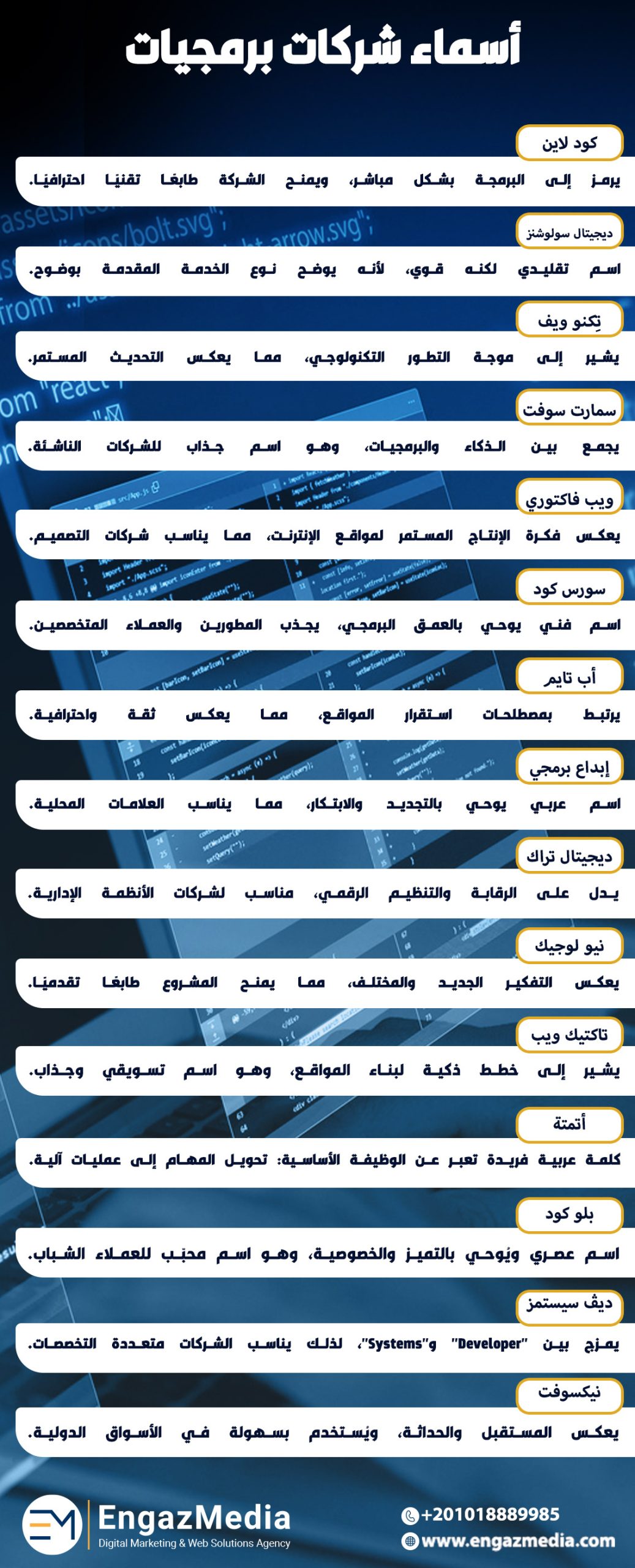 أسماء شركات برمجيات
