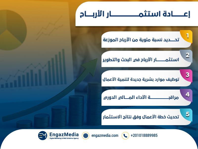 إعادة استثمار الأرباح