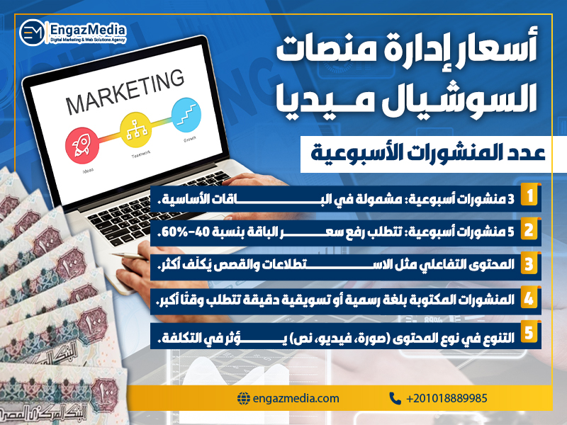 عدد المنشورات الأسبوعية
