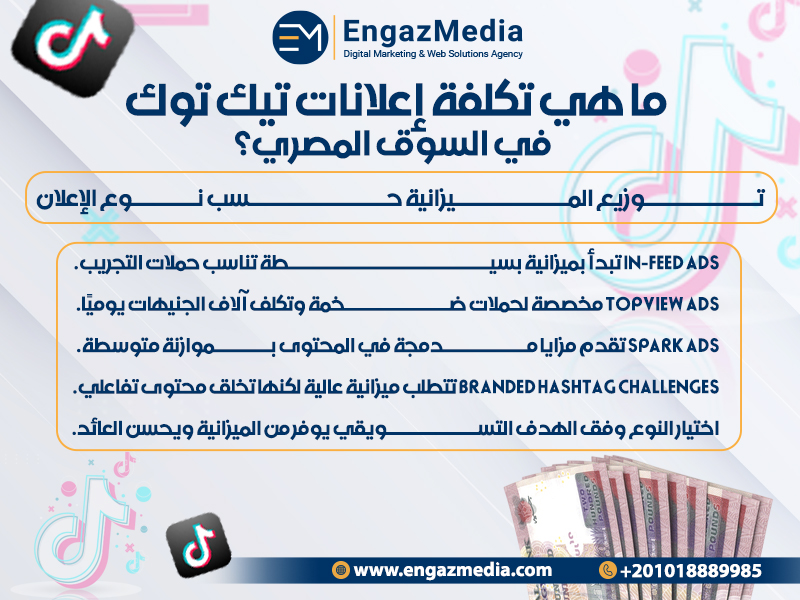 توزيع الميزانية حسب نوع الإعلان

