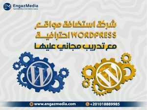 شركة استضافة مواقع WordPress احترافية مع تدريب مجاني عليها