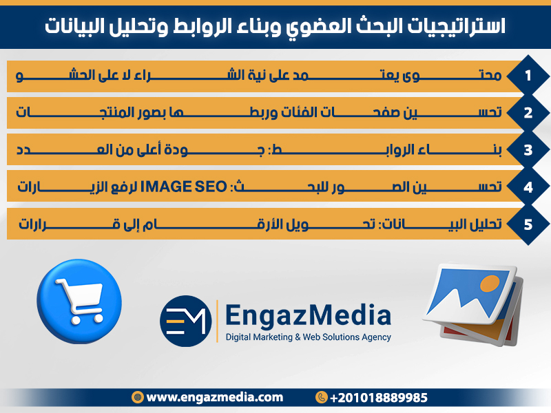 استراتيجيات البحث العضوي وبناء الروابط وتحليل البيانات