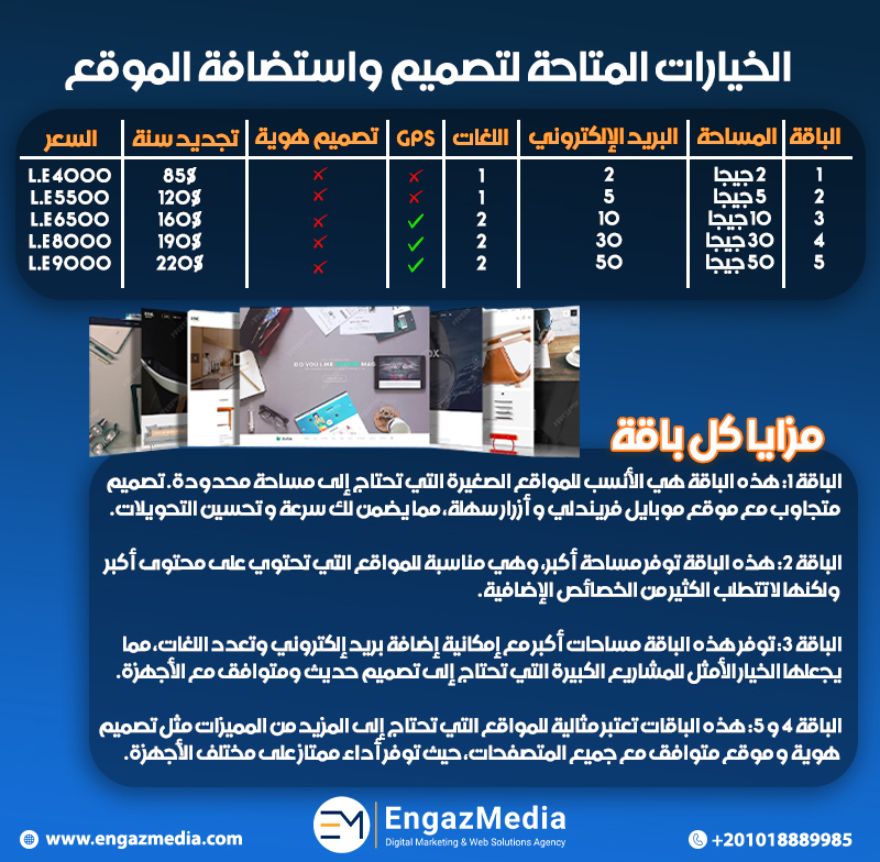 الخيارات المتاحة لتصميم واستضافة الموقع