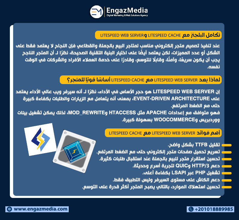 تكامل البلجنز مع LiteSpeed Cache وLiteSpeed Web Server 
