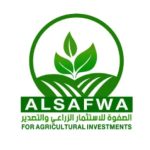 Al Safwa